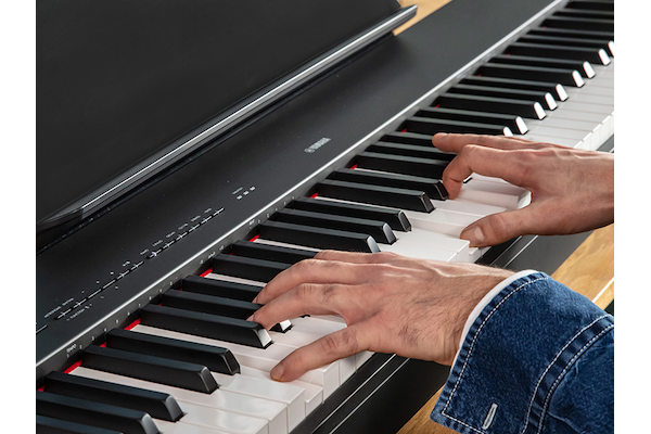 The hands of a person playing the P-223