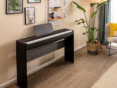 The P-143B on an optional stand.