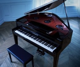 Tocar el piano - liberar al pianista de todas las limitaciones. Y luego, la alegría de transformar el acto de tocar en algo totalmente nuevo...
