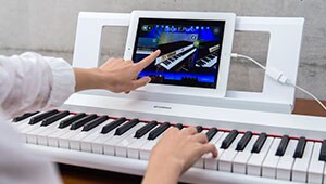 NP-32/12 - Descripción - Teclados portátiles - Productos
