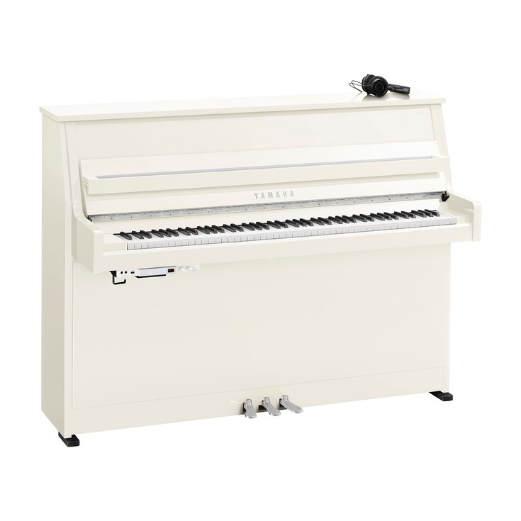 Imagen del producto B10SC3 (Blanco pulido cromo)