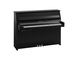 Imagen del producto B10TC3 (Ébano pulido cromo)