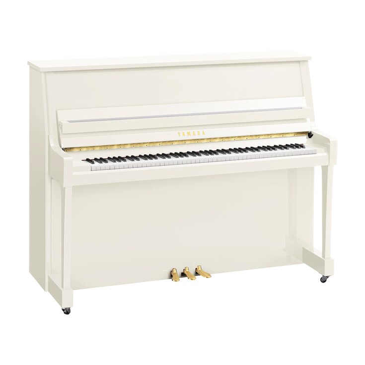 Imagen del producto B20 (Blanco pulido)