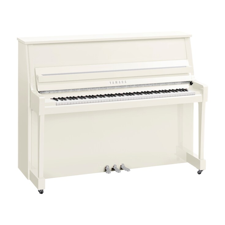Imagen del producto B20 (Blanco pulido cromo)