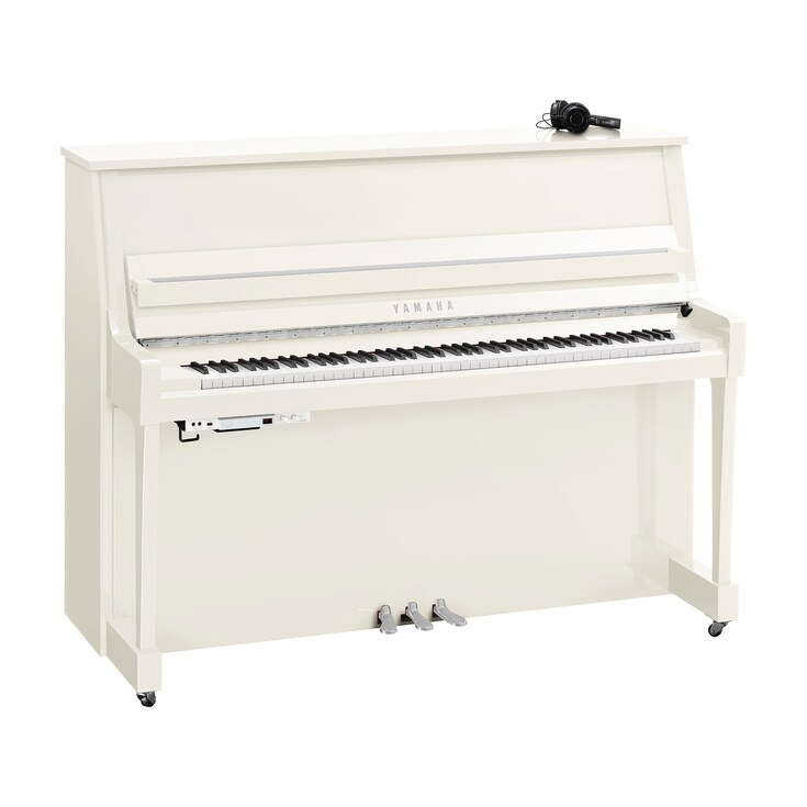 Imagen del producto B20SC3 (Blanco pulido cromo)