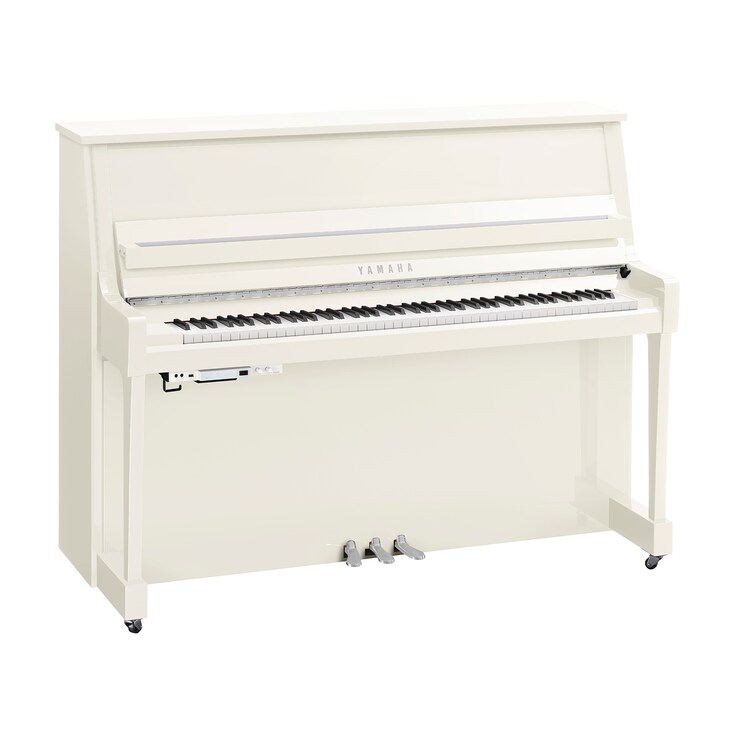 Imagen del producto B20TC3 (Blanco pulido cromo)