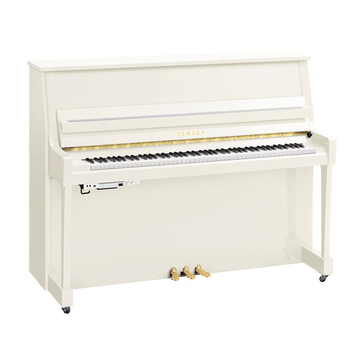 Imagen del producto B20TC3 (Blanco pulido)