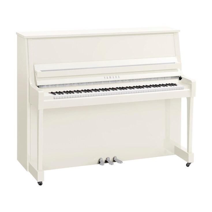 Imagen del producto B30 (Blanco pulido cromo)