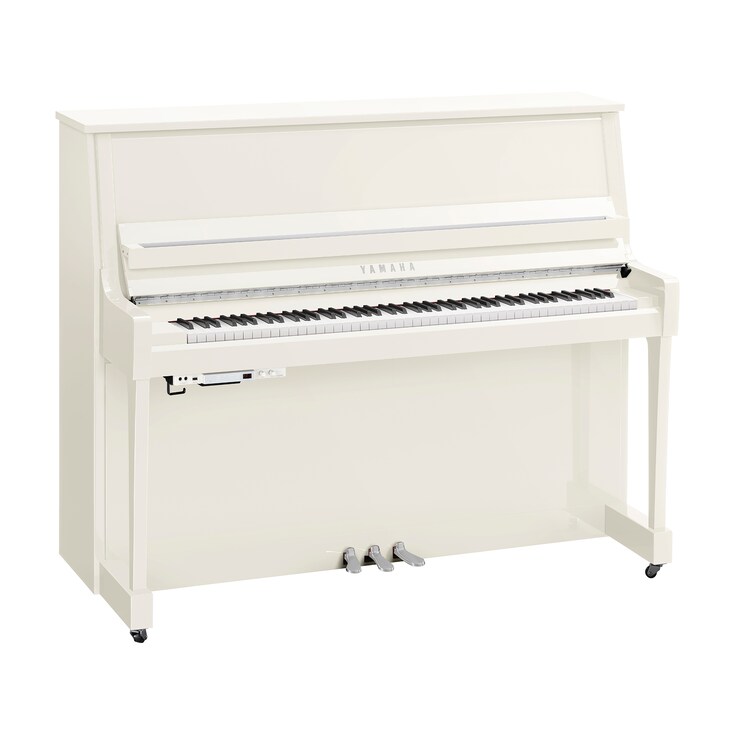 Imagen del producto B30TC3 (Blanco pulido cromo)