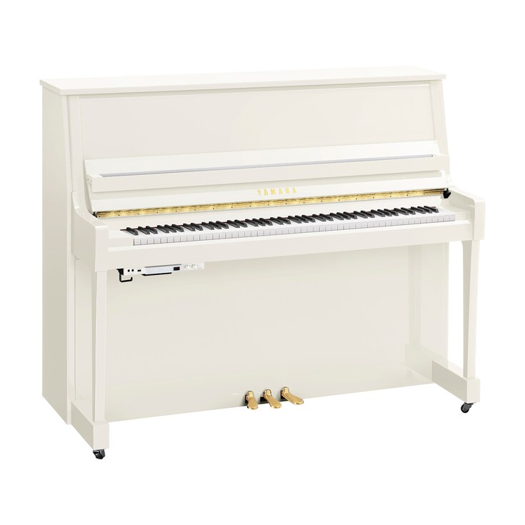 Imagen del producto B30TC3 (Blanco pulido)
