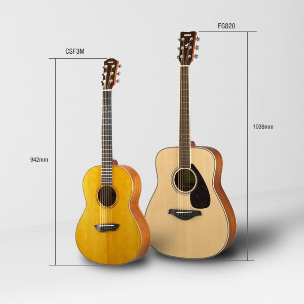 CSF - Características - Guitarras acústicas - Guitarras y bajos ...