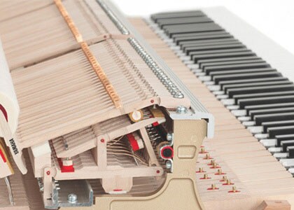 CLP-695GP - Descripción - Clavinova - Productos - Pianos