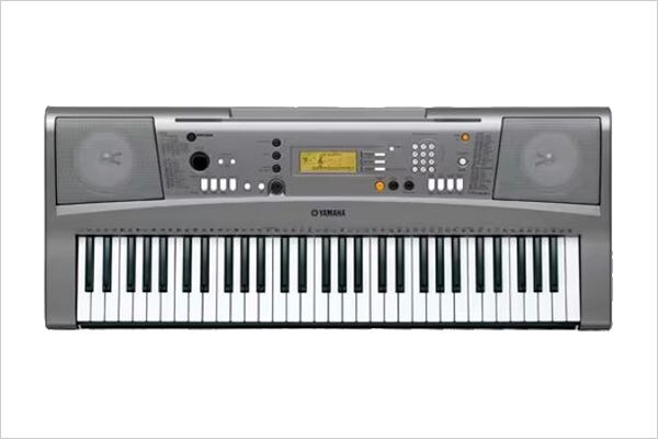 PSR-VN300