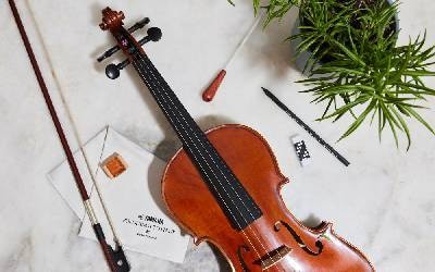 Violines para PROFESIONALES