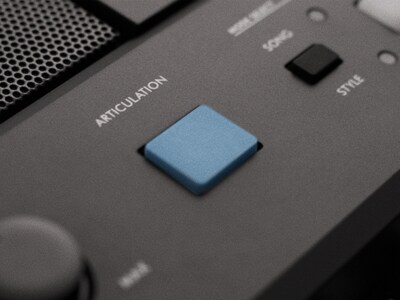 Imagen destacada del botón ARTICULATION del PSR-E483