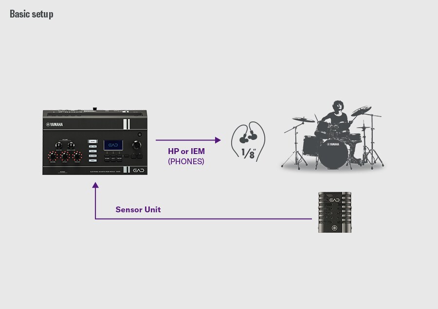 Diagrama que muestra una configuración básica del EAD20.