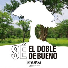 Yamaha artist Juan Diego Saez