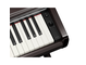 YDP-146_Palisandro oscuro_teclado_derecha