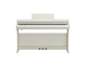 YDP-166_Abedul blanco_frontal