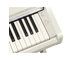YDP-166_Abedul blanco_teclado_derecha
