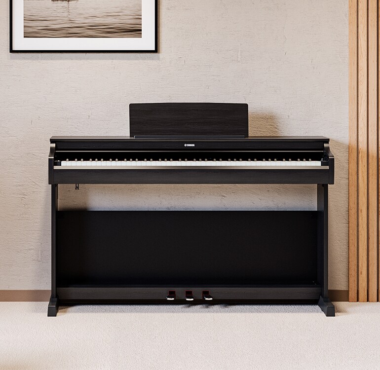 Un salón con un piano ARIUS negro, con plantas de interior y un sofá, integrado de forma armoniosa en la decoración