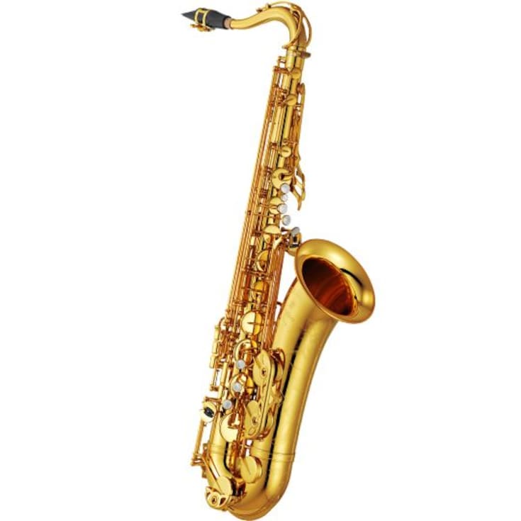Yamaha Saxophone YTS-82ZG