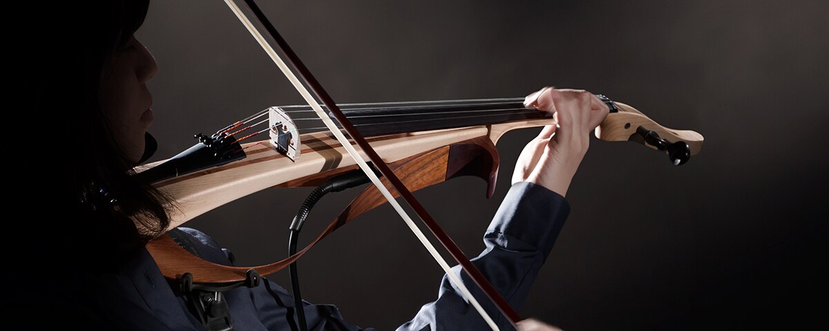 YEV104/YEV105 - Descripción - Cuerda eléctrica - Productos