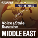 Middle East (Paquete de expansión preinstalado: Datos compatibles con Yamaha Expansion Manager)