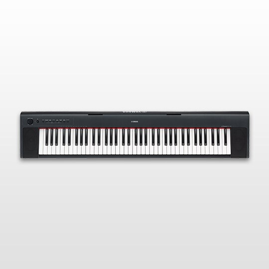 NP-31 - Descripción - Teclados portátiles - Productos